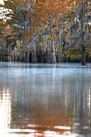 Reflecting on Fall