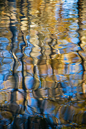 Autumn Ripples