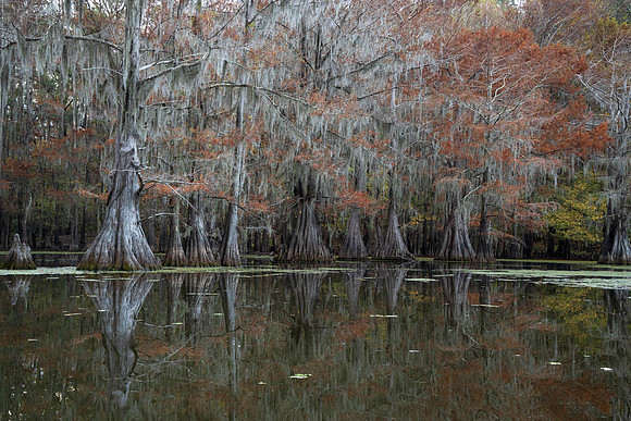 Still Waters