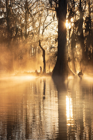 In the Shadow of the Sun