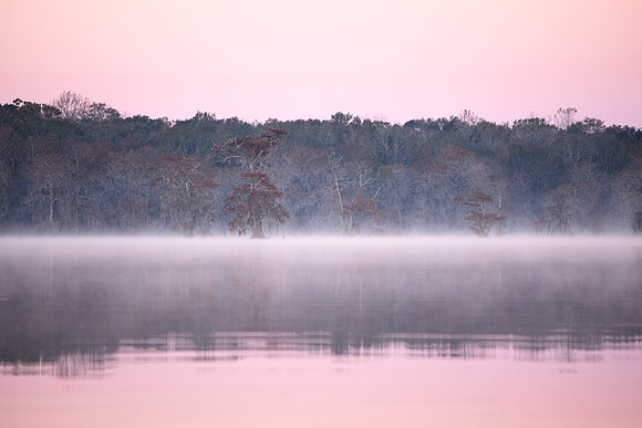 Pink Wash