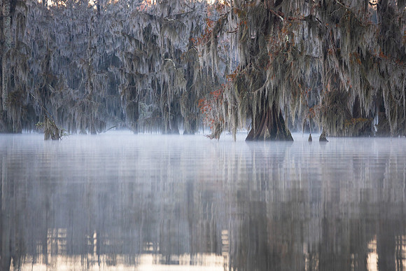 Frigid