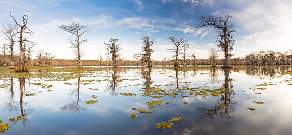 Turtle Shell Lake