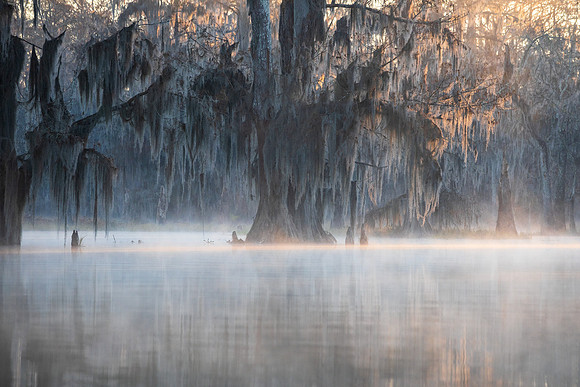 Creature of the Mist