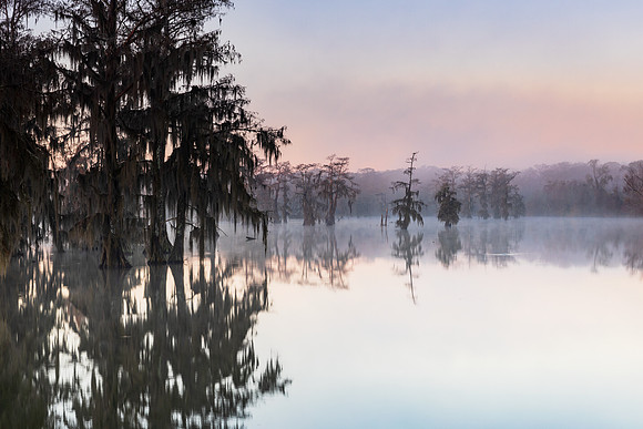 Pastel Morning