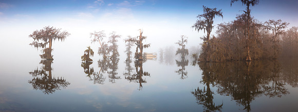Shrouded Lake Martin
