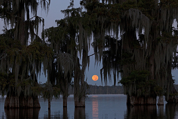 Goodbye Harvest Moon