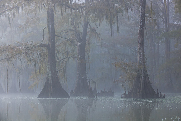Apparitions in the Mist