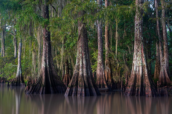 Front Line