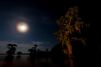 Moon Glow