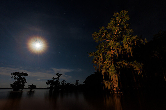 Moon Glow
