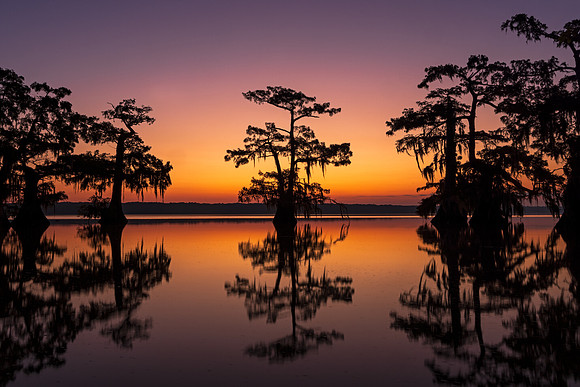Dawn Breaks