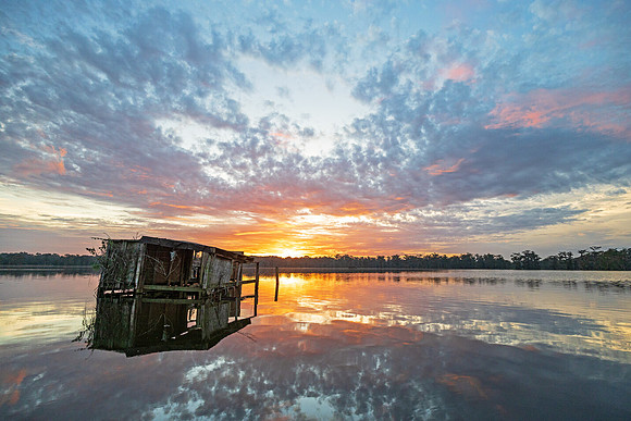 Duck Blind Sunrise
