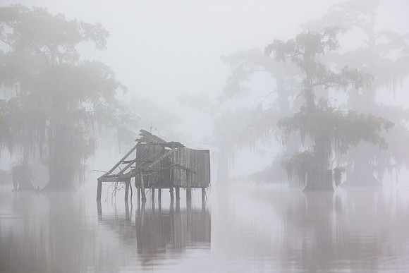 Blind in the Fog