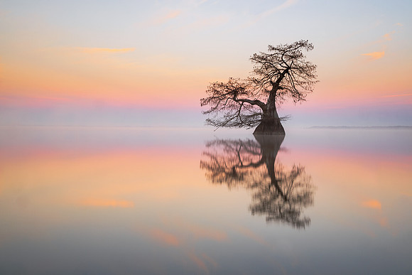 At Peace