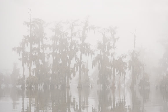 Spirits of the Mist