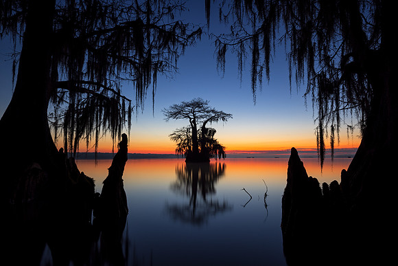 Light on the Horizon