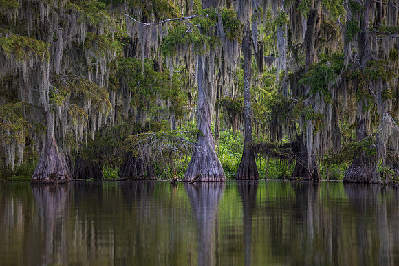 Late Summer Reflections