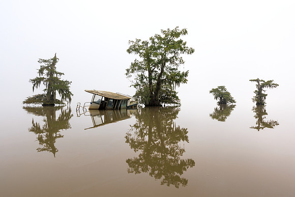 Mirrored Lake